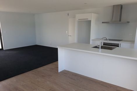 Photo of property in 53 William Nicholls Drive, Belfast, Christchurch, 8051