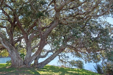 Photo of property in 40 Roretana Drive, Athenree, Katikati, 3177