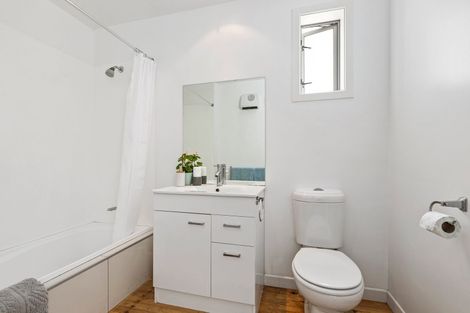 Photo of property in 11 Campbell Road, Mount Maunganui, 3116