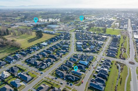 Photo of property in 8 Ellesmere Street, Marshland, Christchurch, 8083