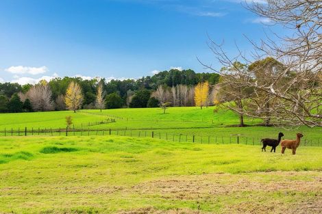 Photo of property in 47 Wilson Road, Wellsford, 0972