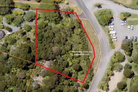 Photo of property in 395a Driving Creek Road, Coromandel, 3506