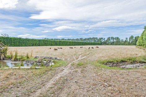 Photo of property in 96 Neave Road, West Melton, Christchurch, 7675