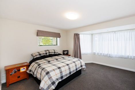 Photo of property in 22 Opawa Place, Terrace End, Palmerston North, 4410