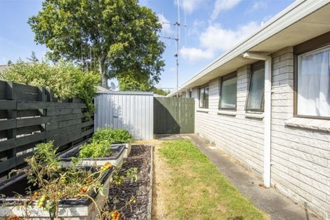 Photo of property in 122b Fourteenth Avenue, Tauranga South, Tauranga, 3112