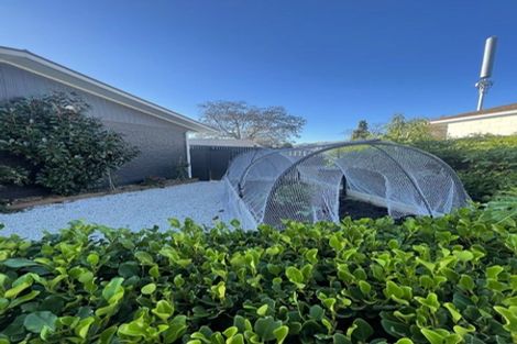 Photo of property in 9 Eva Crescent, Witherlea, Blenheim, 7201