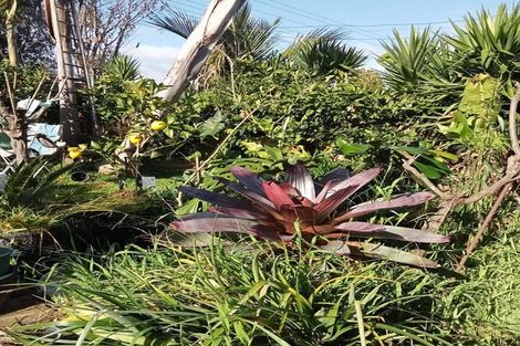 Photo of property in 40 Judea Road, Judea, Tauranga, 3110