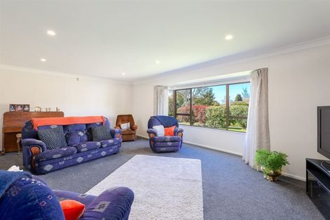 Photo of property in 22 Chelsea Avenue, Richmond, 7020