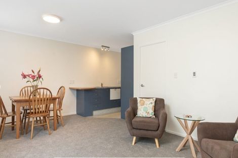 Photo of property in 8d Heath Street, Mount Maunganui, 3116