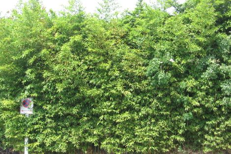 Photo of property in 1/114 Browns Bay Road, Rothesay Bay, Auckland, 0630