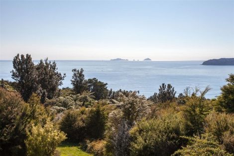 Photo of property in 160 Pumpkin Hill Road, Pumpkin Hill, Whitianga, 3591