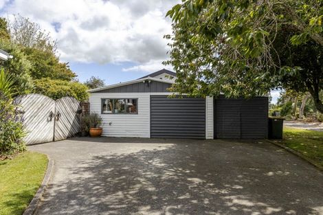 Photo of property in 48 Maire Street, Inglewood, 4330