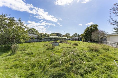 Photo of property in 47 Tararua Street, Pahiatua, 4910