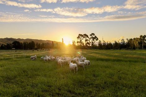 Photo of property in 136 Hardings Road, Riverlands, Blenheim, 7274