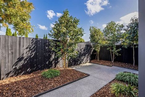 Photo of property in 6/160 Salisbury Street, Christchurch Central, Christchurch, 8013