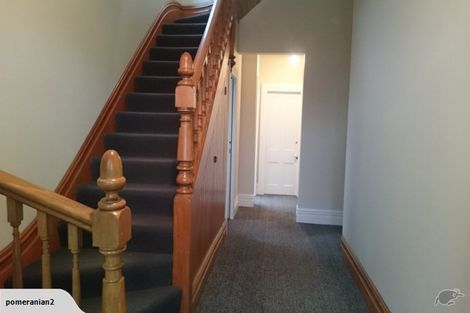 Photo of property in 939 Cumberland Street, North Dunedin, Dunedin, 9016