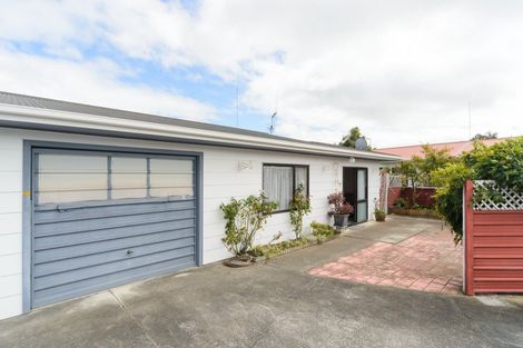 Photo of property in 38a Monckton Street, Feilding, 4702