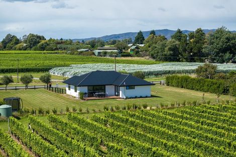 Photo of property in 5 Brook Street, Renwick, 7204