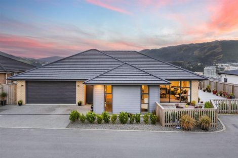 Photo of property in 169 John Burke Drive, Aotea, Porirua, 5024