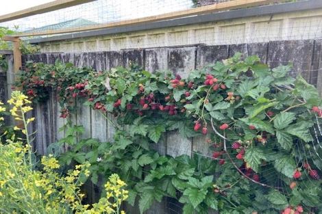 Photo of property in 20 Grace Avenue, Rototuna North, Hamilton, 3210