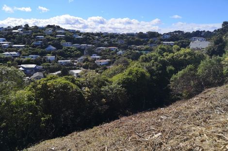 Photo of property in 11 Voltaire Street, Karori, Wellington, 6012