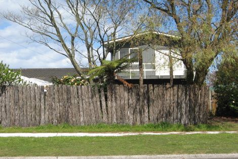 Photo of property in 21 Rimu Street, Taupo, 3330