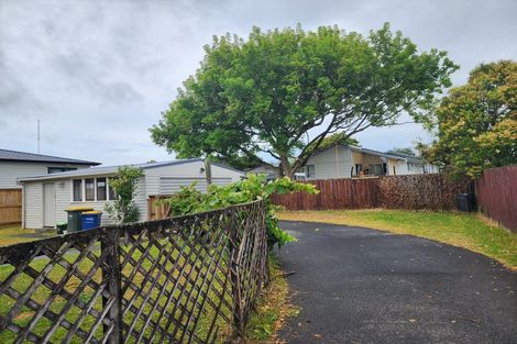 Photo of property in 58 Riverpark Crescent, Henderson, Auckland, 0610