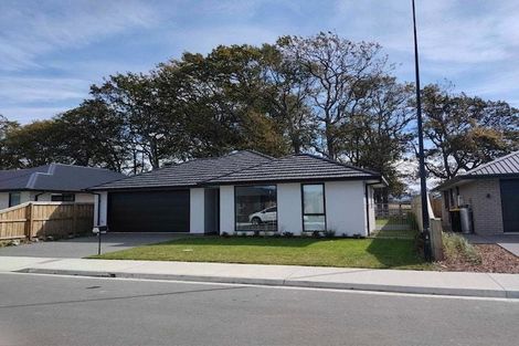 Photo of property in 25 Crossley Avenue, Woodend, 7610