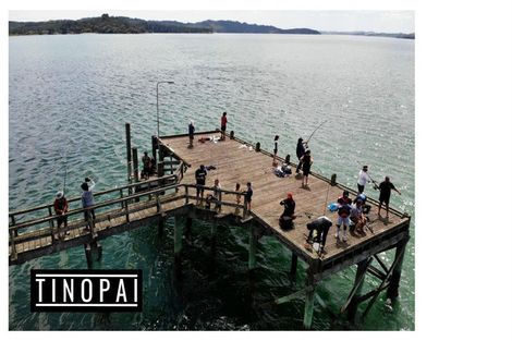 Photo of property in 1509 Tinopai Road, Tinopai, Matakohe, 0593