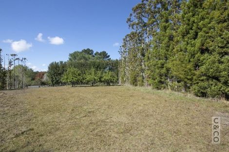 Photo of property in 902 Old North Road, Waimauku, 0882