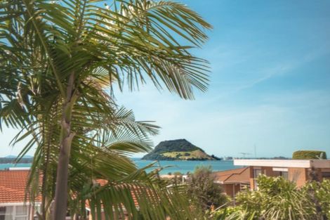 Photo of property in 12 Hazel Terrace, Otumoetai, Tauranga, 3110