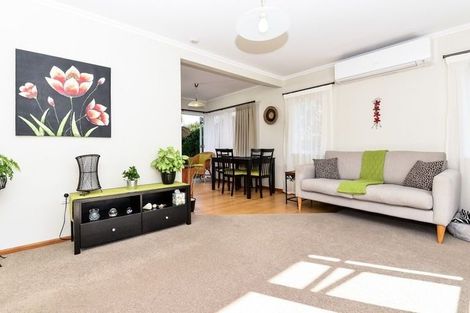 Photo of property in 3 Sussex Street, Chartwell, Hamilton, 3210