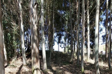 Photo of property in 13 Edievale Road, Edievale, Tapanui, 9587