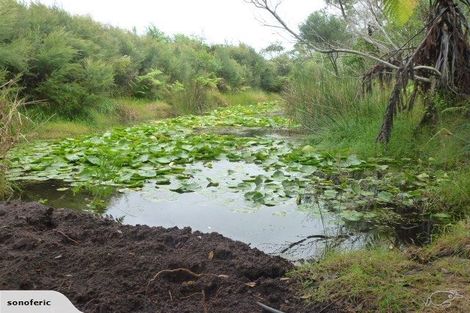 Photo of property in 347 Kimberley Road, Houhora, Kaitaia, 0484