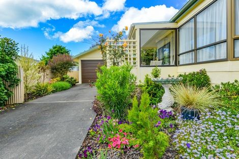 Photo of property in 4 Danvers Street, Havelock North, 4130