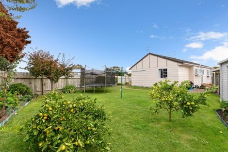 Photo of property in 34 Radiata Street, Fairview Downs, Hamilton, 3214