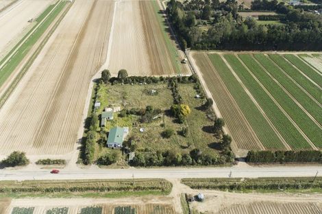 Photo of property in 178 Cd Farm Road, Levin, 5571