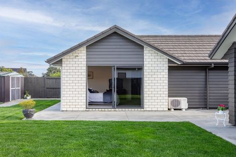 Photo of property in 50 Roy Hilton Drive, Flagstaff, Hamilton, 3210