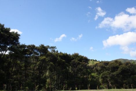 Photo of property in 3 Birdsong Lane, Mangawhai, Kaiwaka, 0573