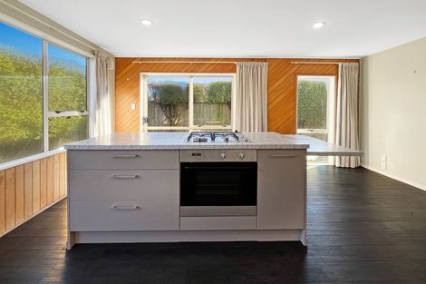 Photo of property in 17 Sumner Street, Spreydon, Christchurch, 8024