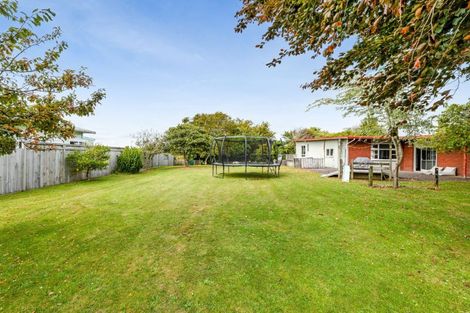 Photo of property in 34 Cordelia Street, Stratford, 4332