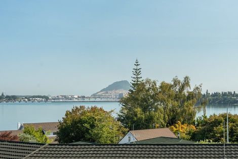 Photo of property in 345a Maungatapu Road, Maungatapu, Tauranga, 3112