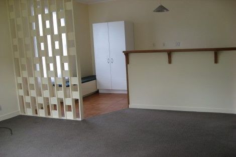 Photo of property in 52 Wright Street, Mount Cook, Wellington, 6021