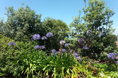 Photo of property in 22 Koutunui Road, Athenree, Katikati, 3177