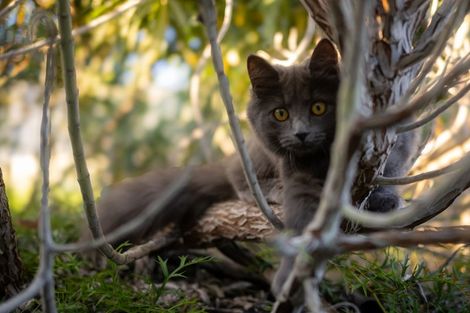 Photo of property in 29a Golf Vue Place, Castlecliff, Whanganui, 4501