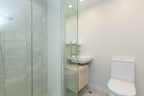 Photo of property in Vsp South, 502/166 Victoria Street, Te Aro, Wellington, 6011