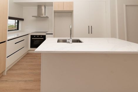 Photo of property in 45 Clay Works Lane, New Lynn, 0600