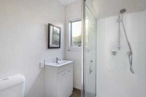 Photo of property in 145 Aro Street, Aro Valley, Wellington, 6021