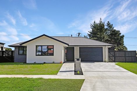 Photo of property in 11 Whakahaumako Road, Leamington, 3495