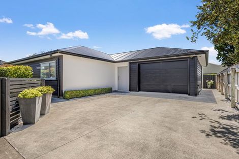 Photo of property in 83c Fitzroy Street, Terrace End, Palmerston North, 4410